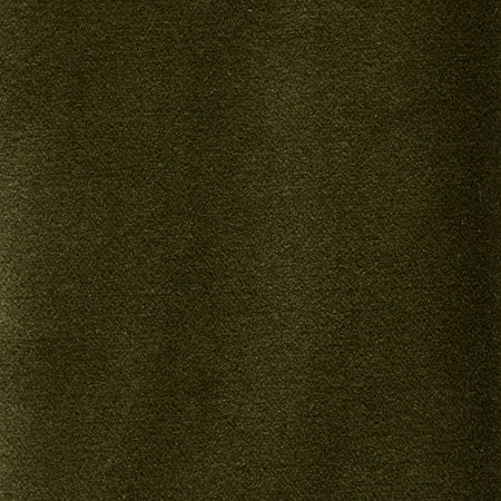 Forest green velvet fabric swatch