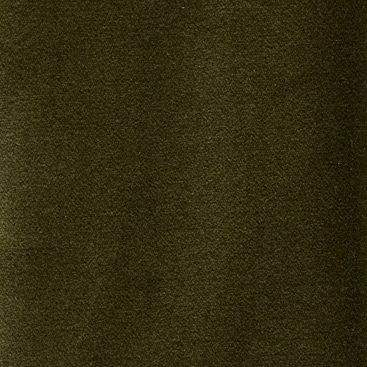 Forest Velvet Swatch