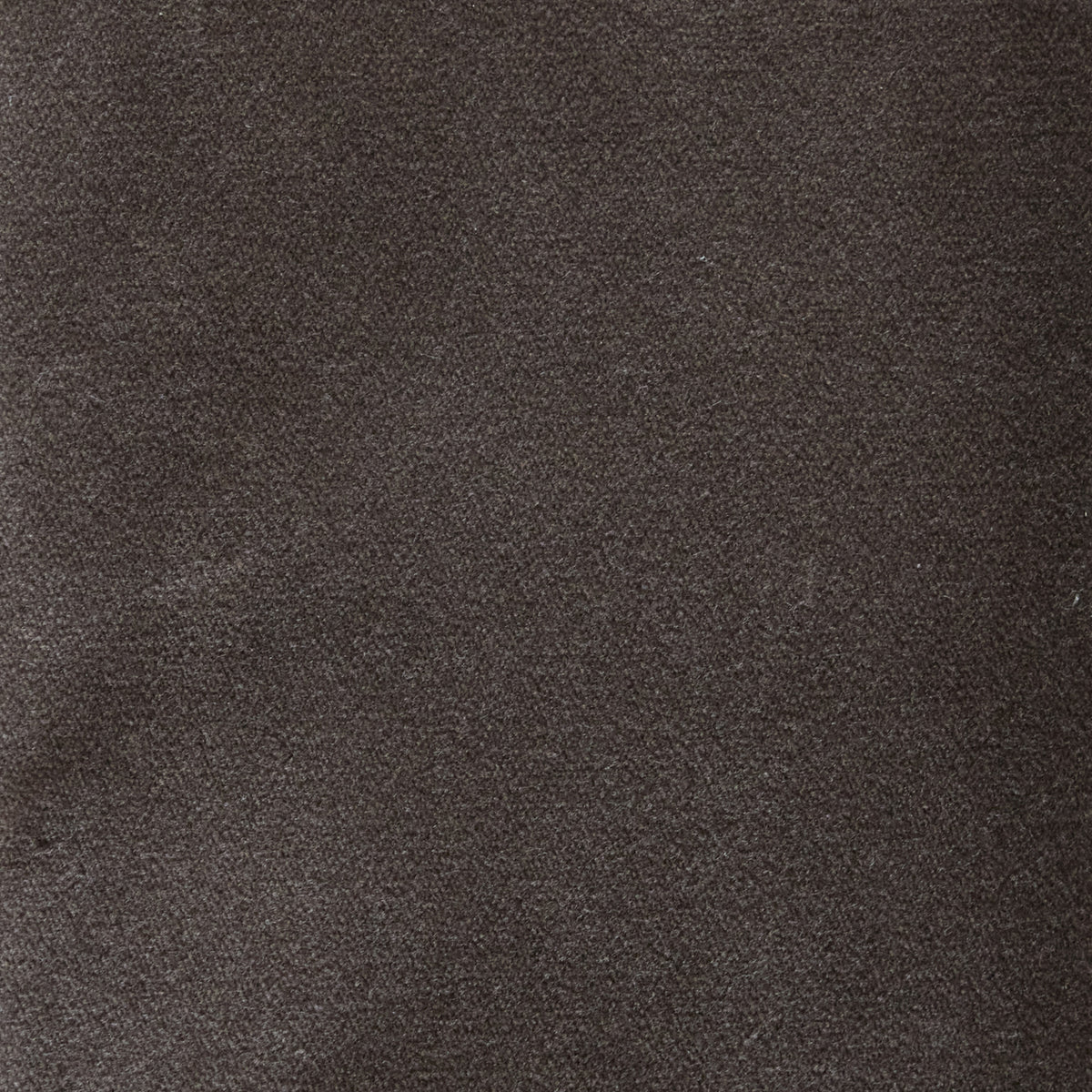 Velvet Dune Swatch
