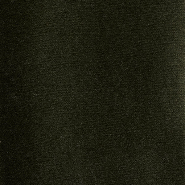 Forest Velvet Swatch