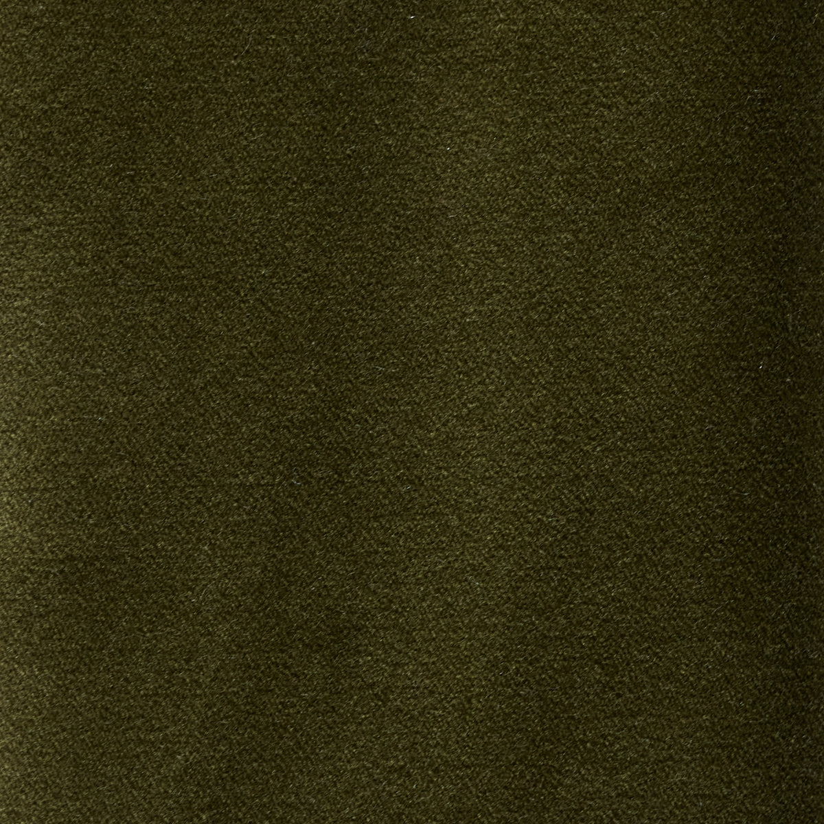 Moss Velvet Swatch